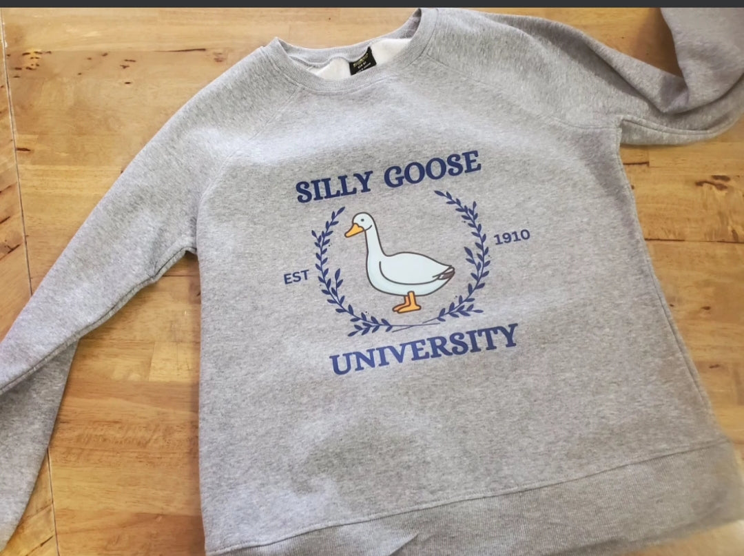 Silly-Goose-University-Sweatshirt med weight long sleeve shirt with graphic